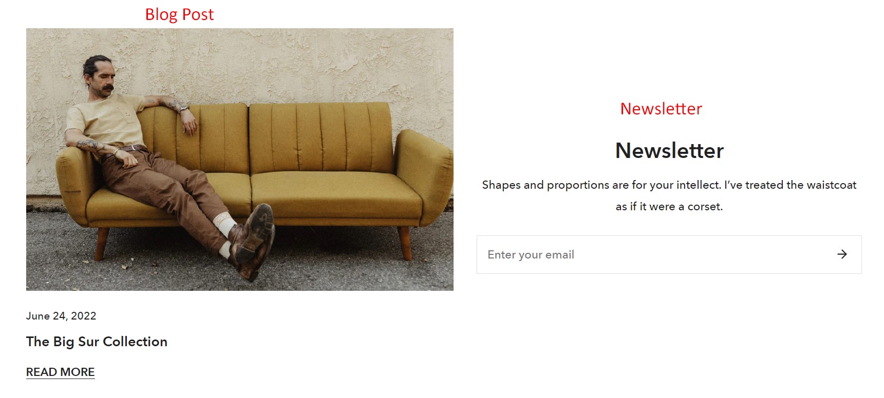 An example of blog post and newsletter form blocks in custom content